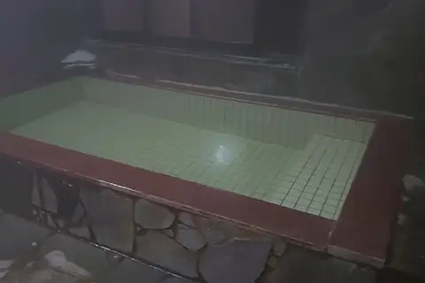 椎の木