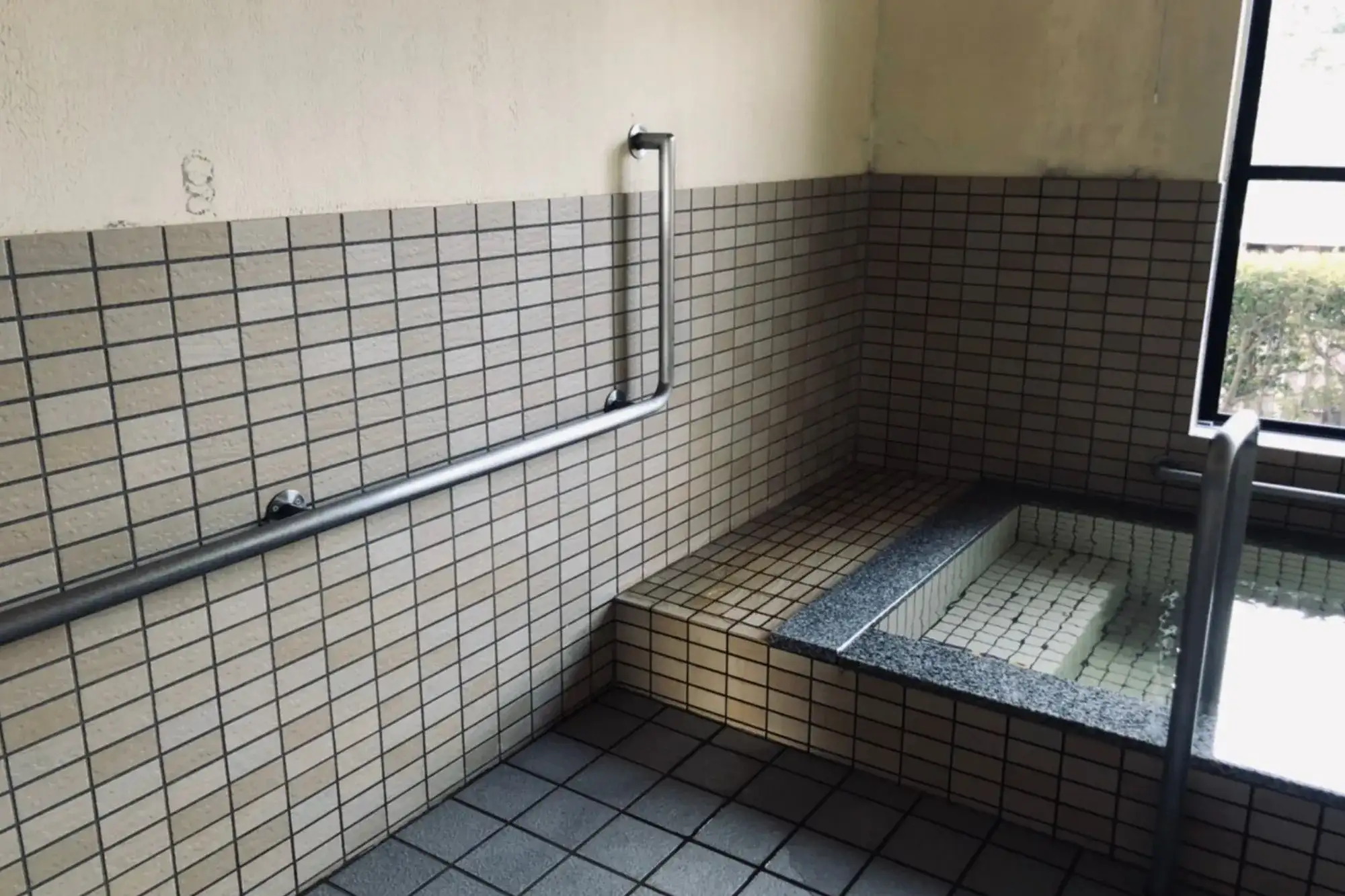 椎の木