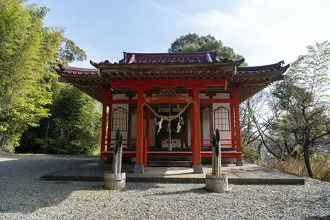 スライド画像8